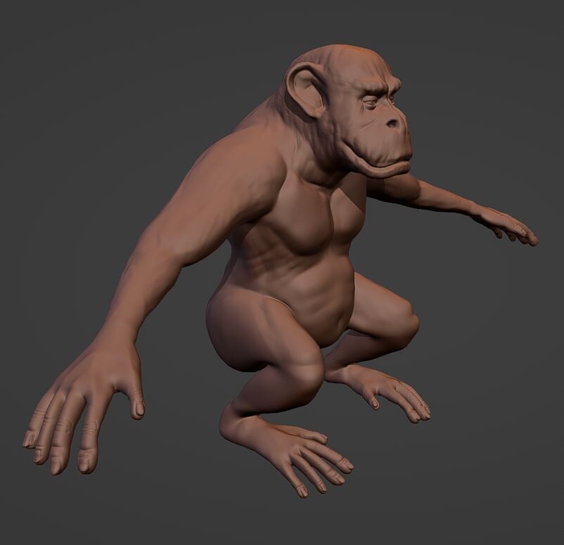 Ape